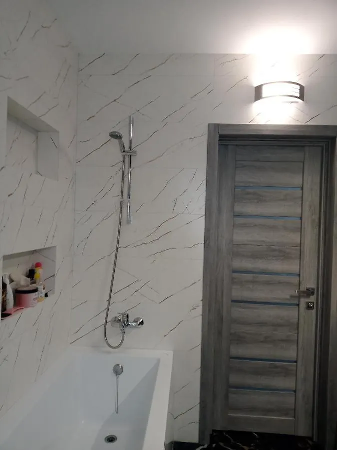 Family Apartments Dorobok リヴィウ ゲストハウス